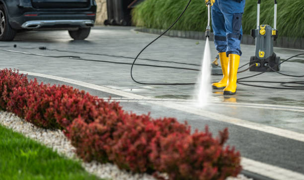 Best Deck Cleaning Services  in Sandstone, MN